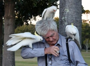 Causas de regurgitação em aves