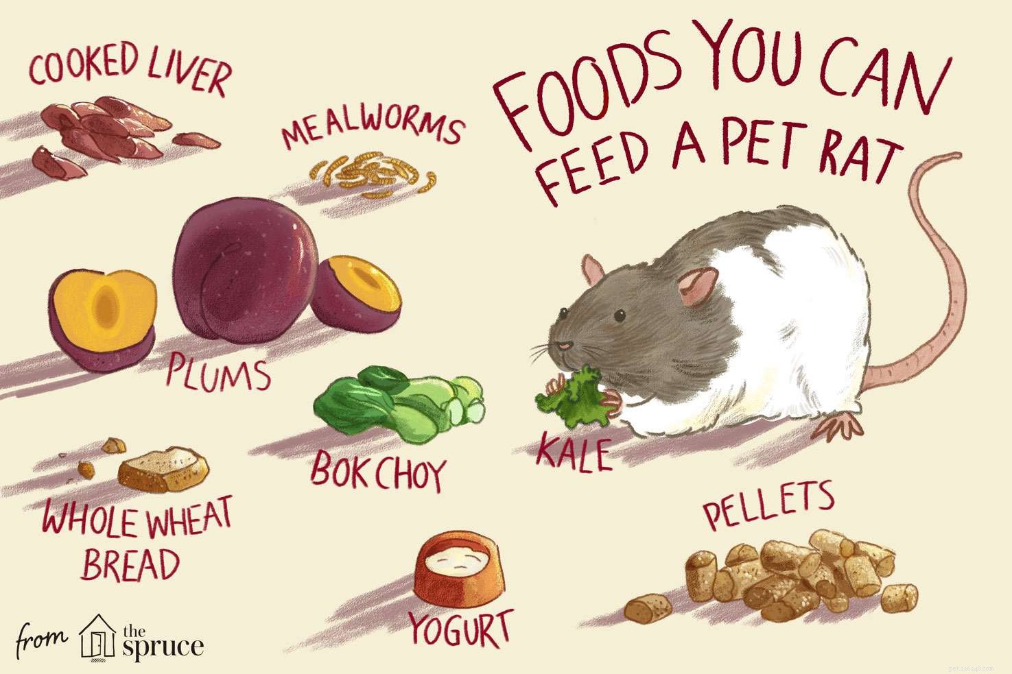 Alimentação de ratos de estimação