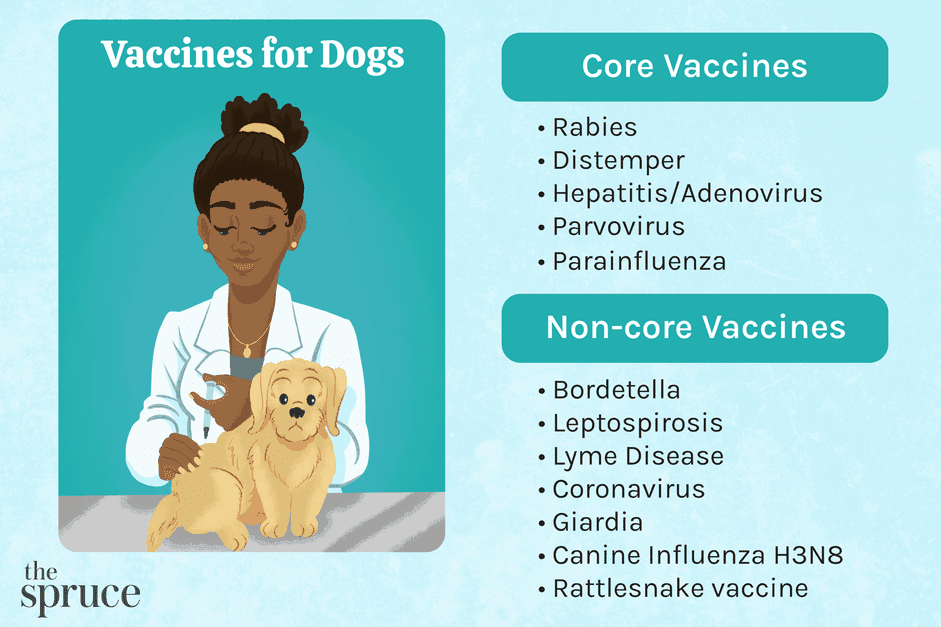 Lista de vacinas para cães