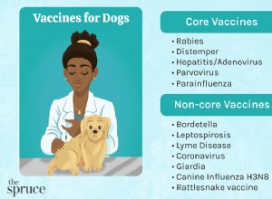 Lista de vacinas para cães