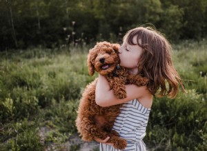 5 причин, почему щенки полезны для нас