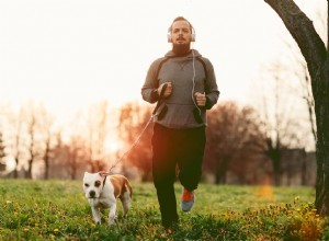 Réduire l alimentation des chiots gras