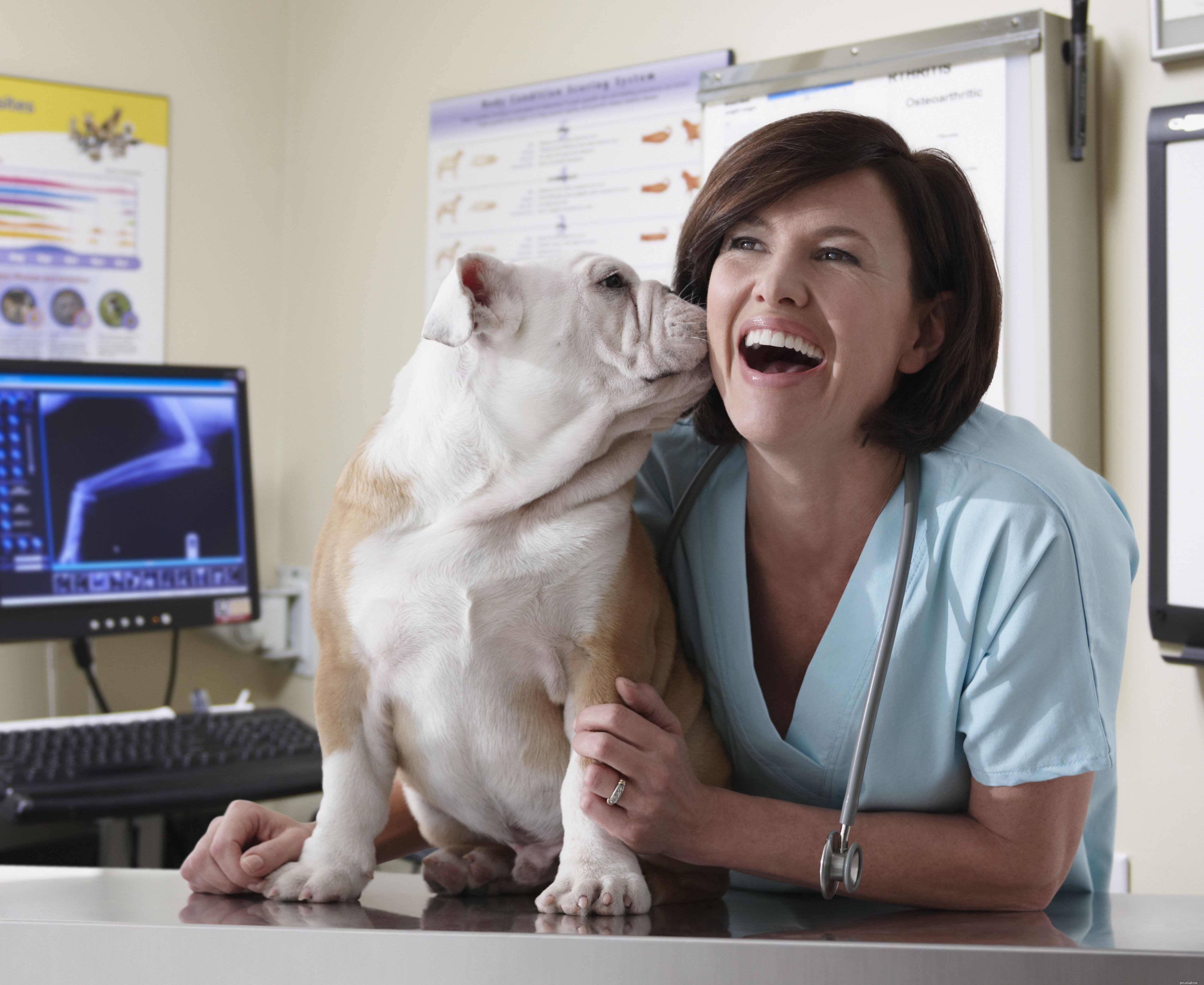 5 modi per far sì che il tuo cane sia felice di andare dal veterinario