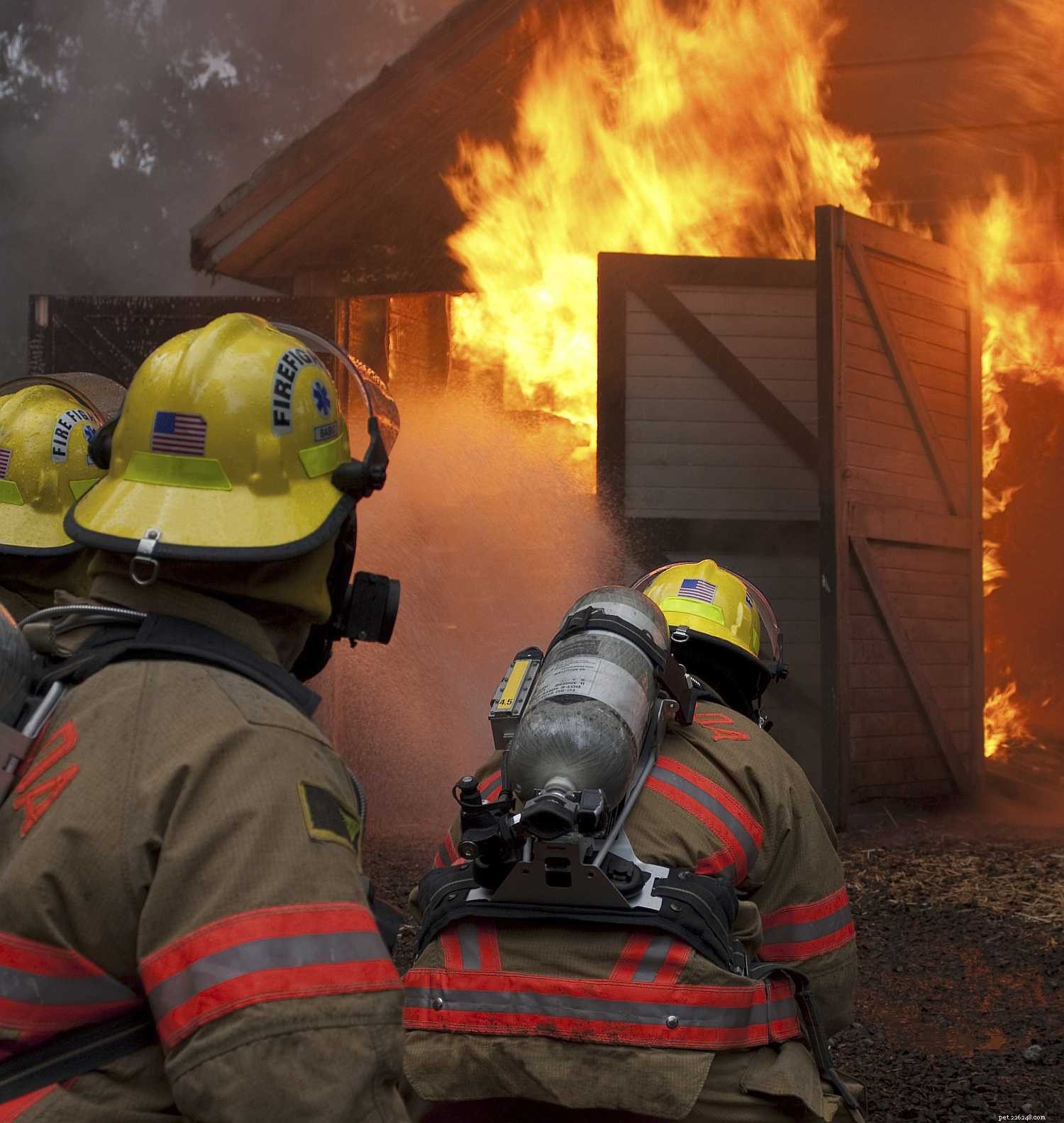 火災と緊急時の安全のための厩舎の設計 