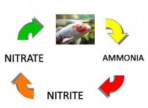 水族館の窒素循環 