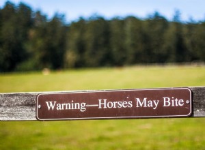 あなたの馬が噛むのを止める方法 