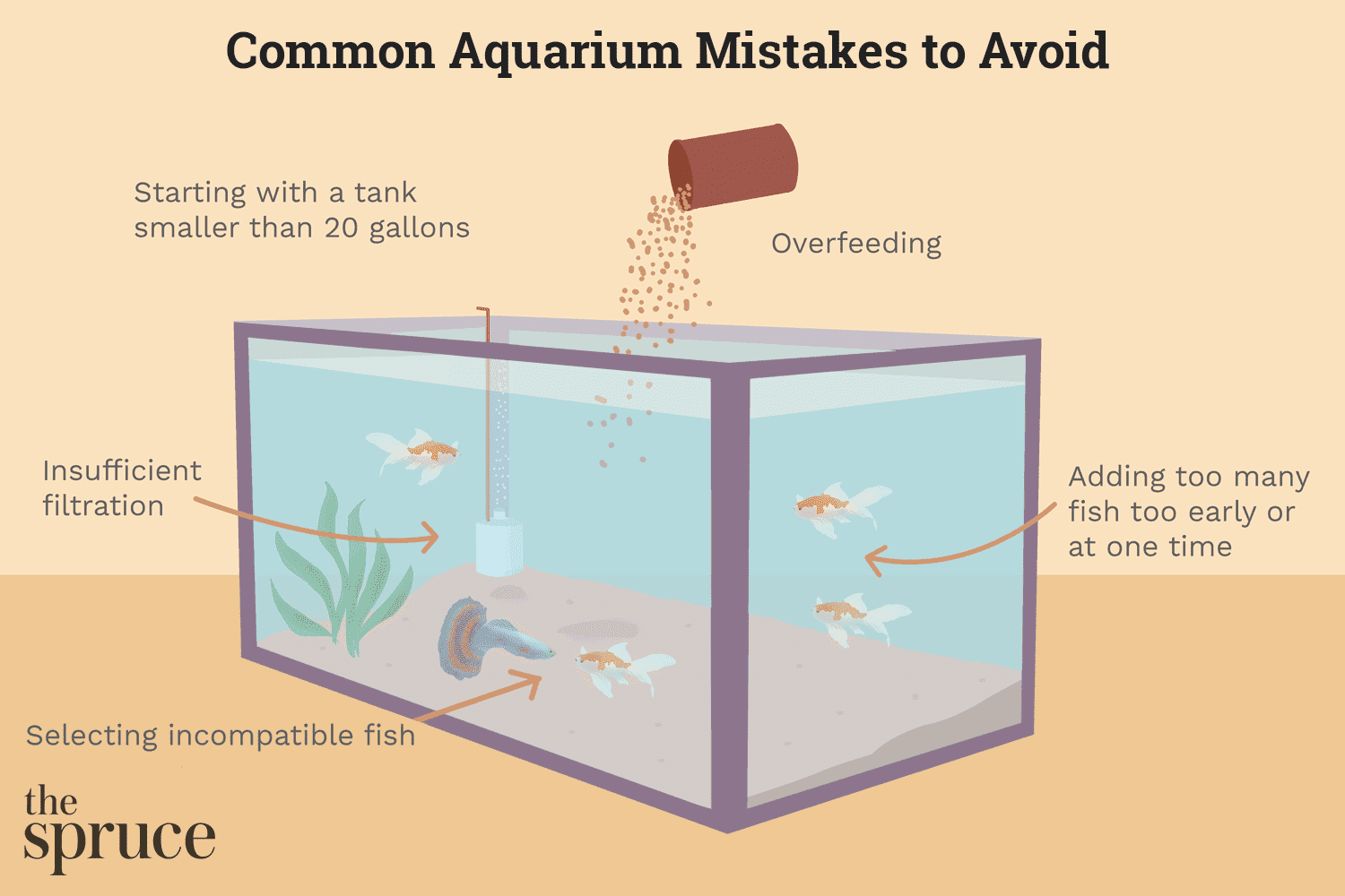 Распространенные ошибки при запуске нового аквариума