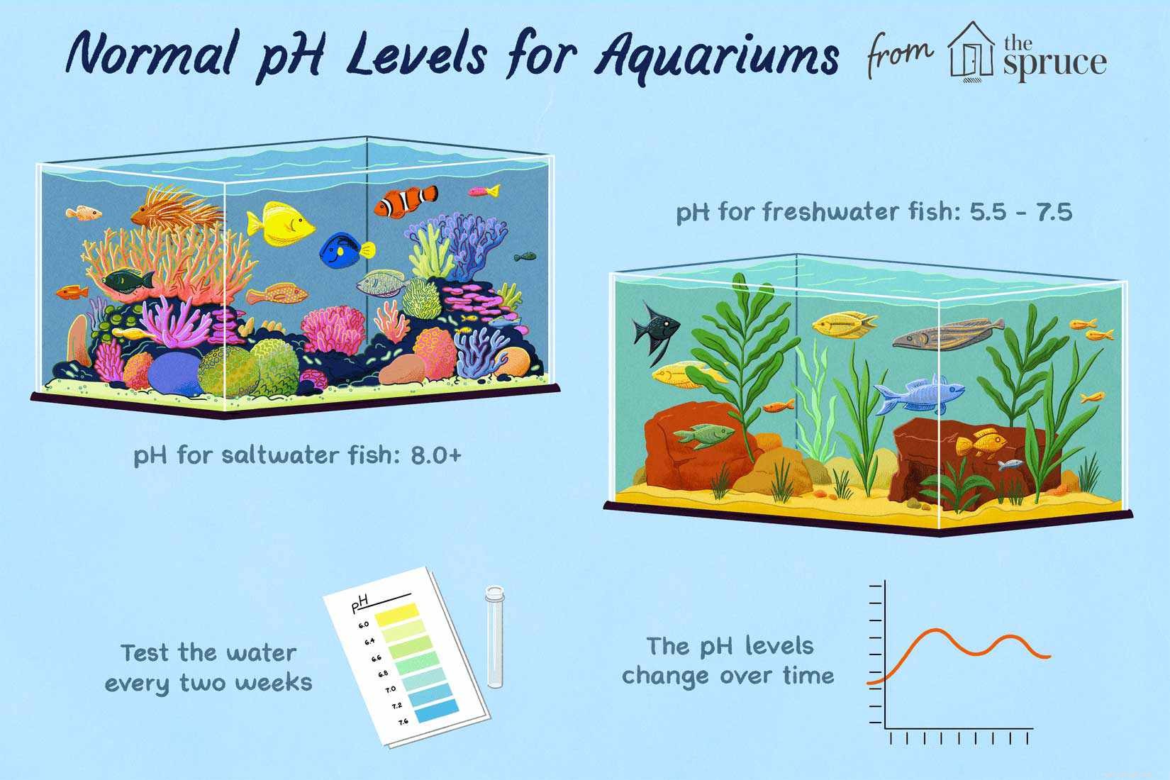 Manutenção do pH da água do aquário