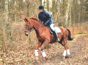 Andar a cavalo:é um esporte?