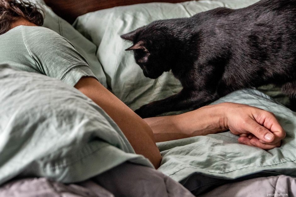 Come impedire al tuo gatto di svegliarti di notte