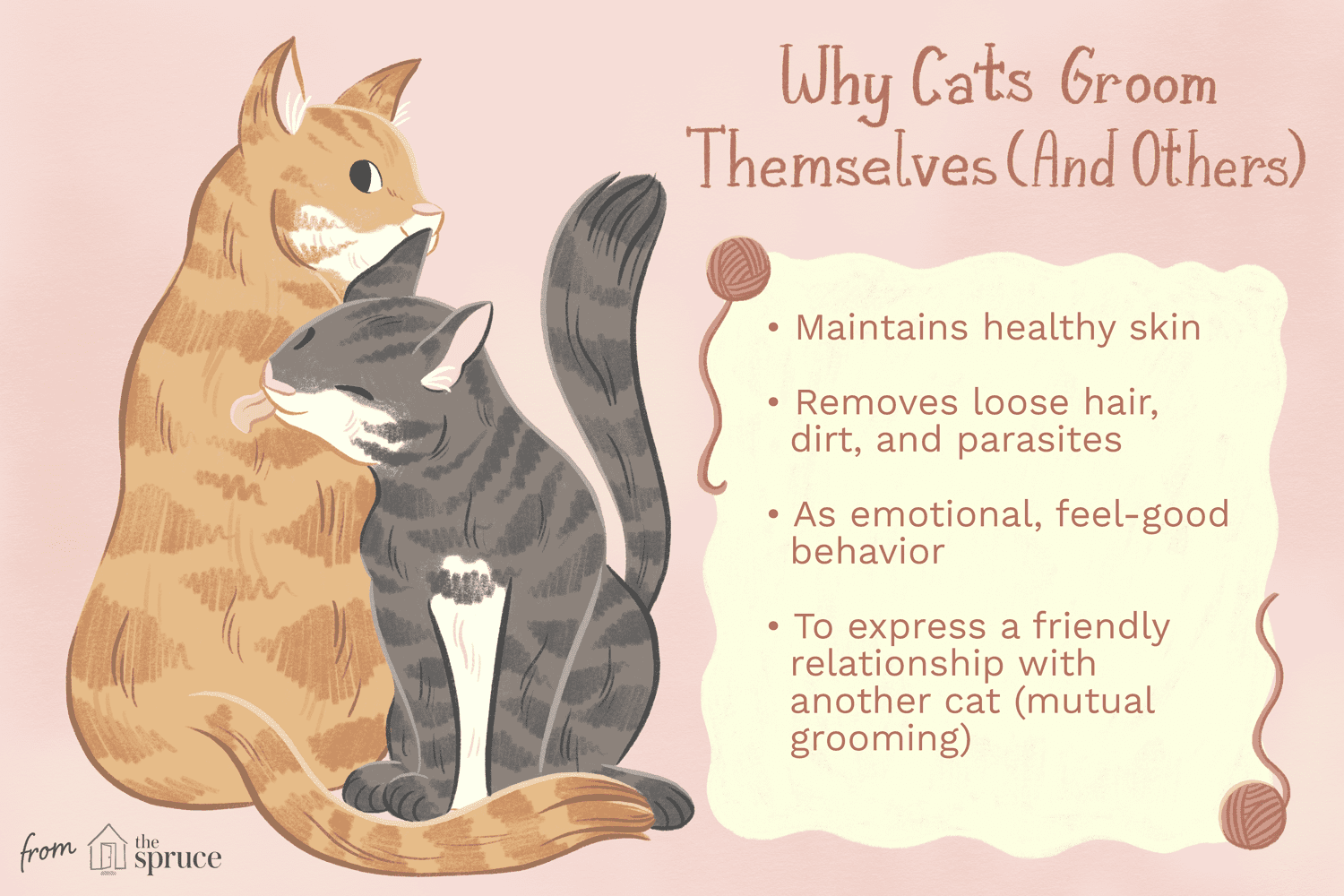 Begrijpen waarom katten zichzelf verzorgen