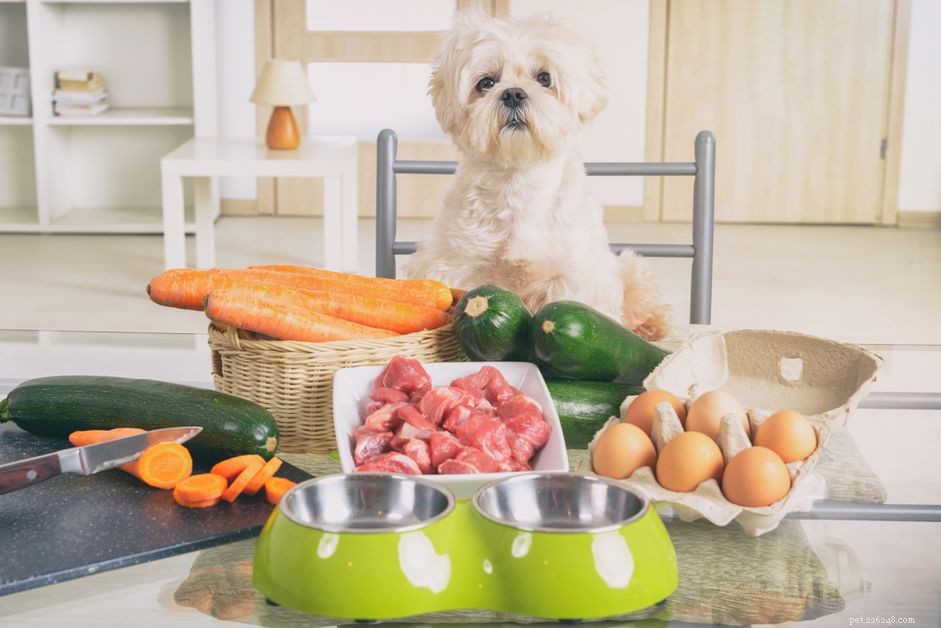 Recepty domácího krmiva pro psy schválené veterinářem