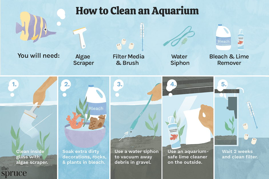 Come pulire un acquario sporco
