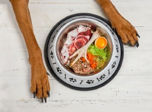 Les avantages et les inconvénients d un régime alimentaire cru pour chiens