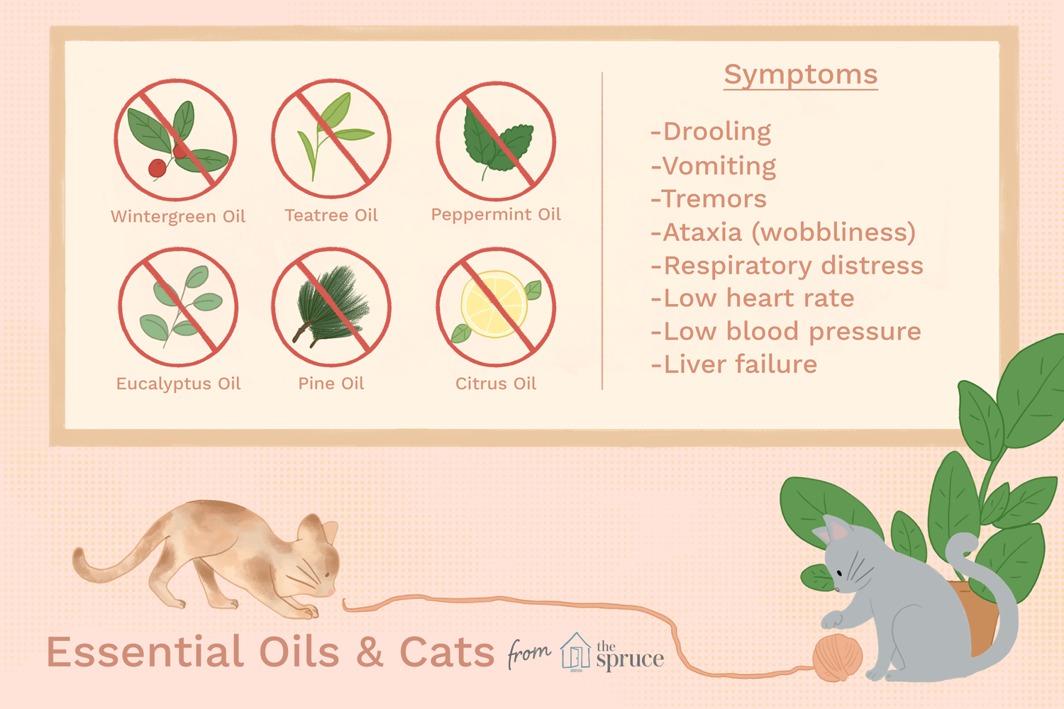Gli oli essenziali sono pericolosi per i gatti?