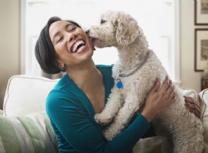 Huit idées fausses courantes sur la rage chez les chiens