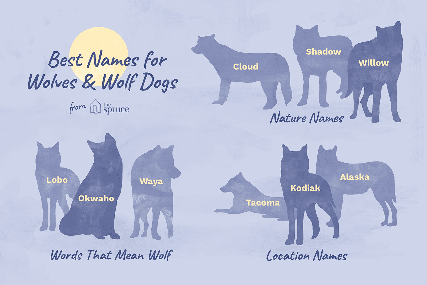 Noms pour les chiens-loups et les loups