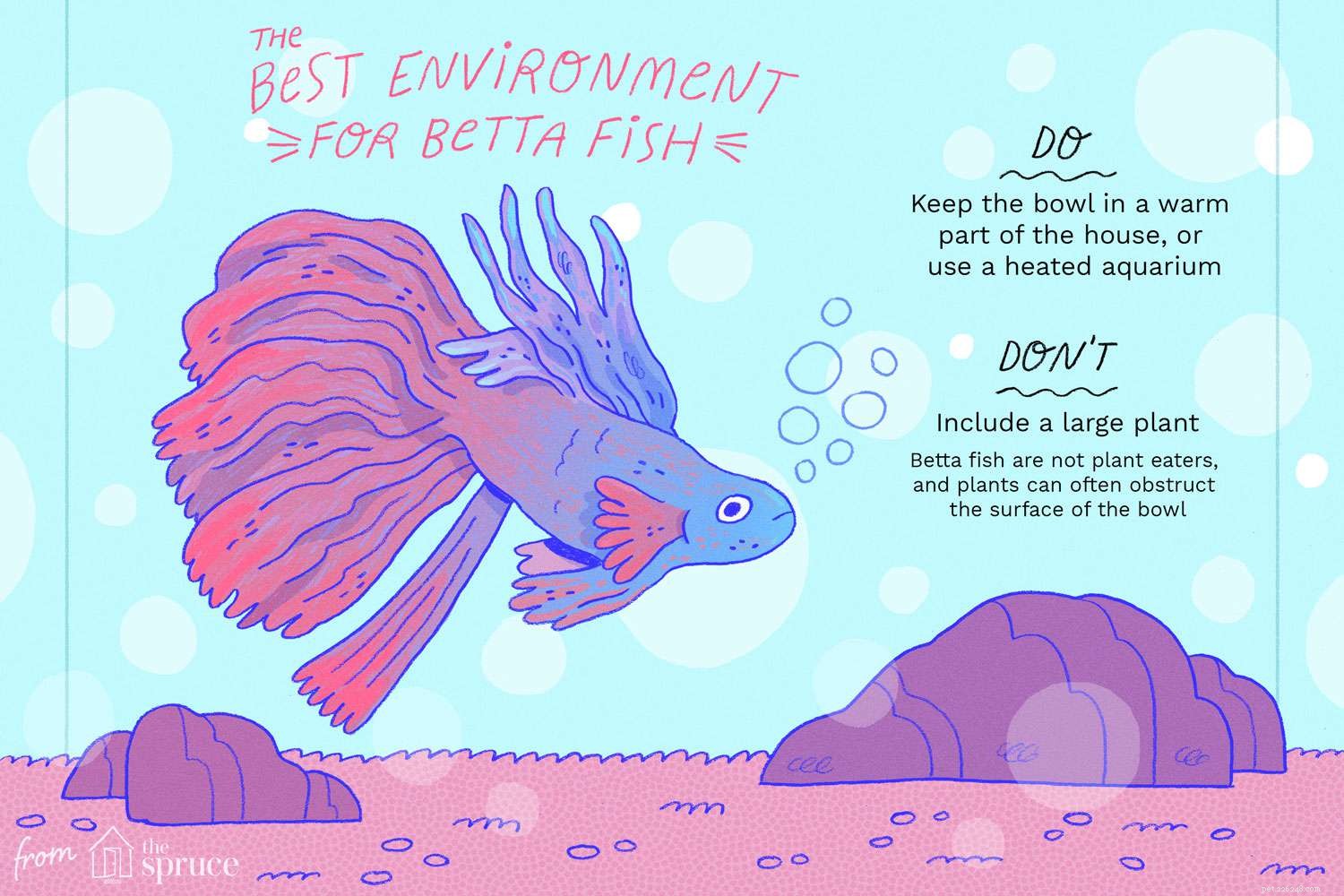 Nejlepší prostředí pro Betta Fish