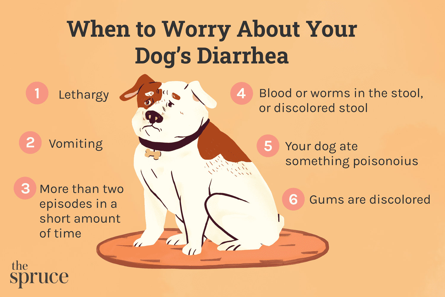 Diarree bij honden
