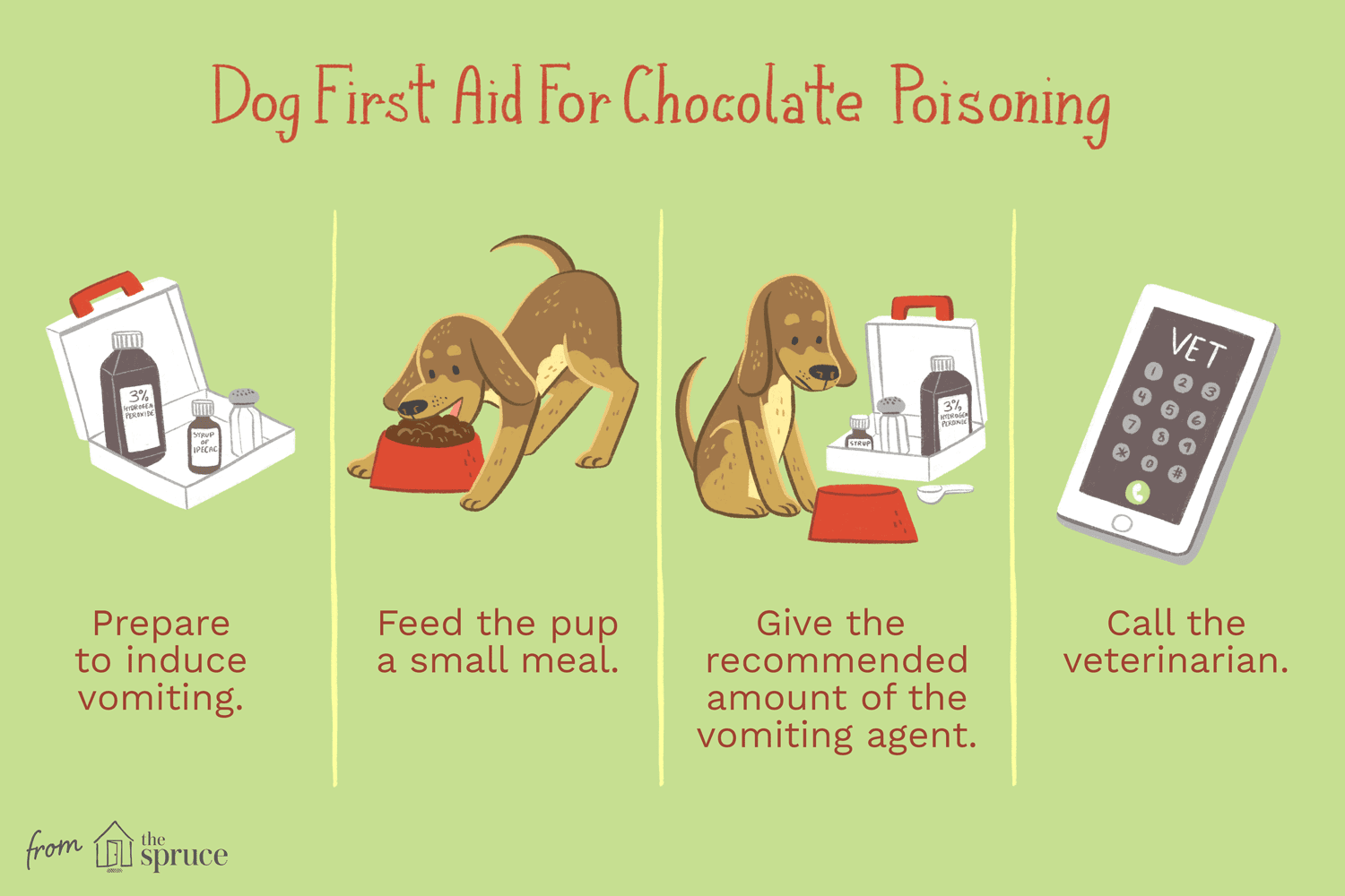 Jak léčit otravu čokoládou u psů
