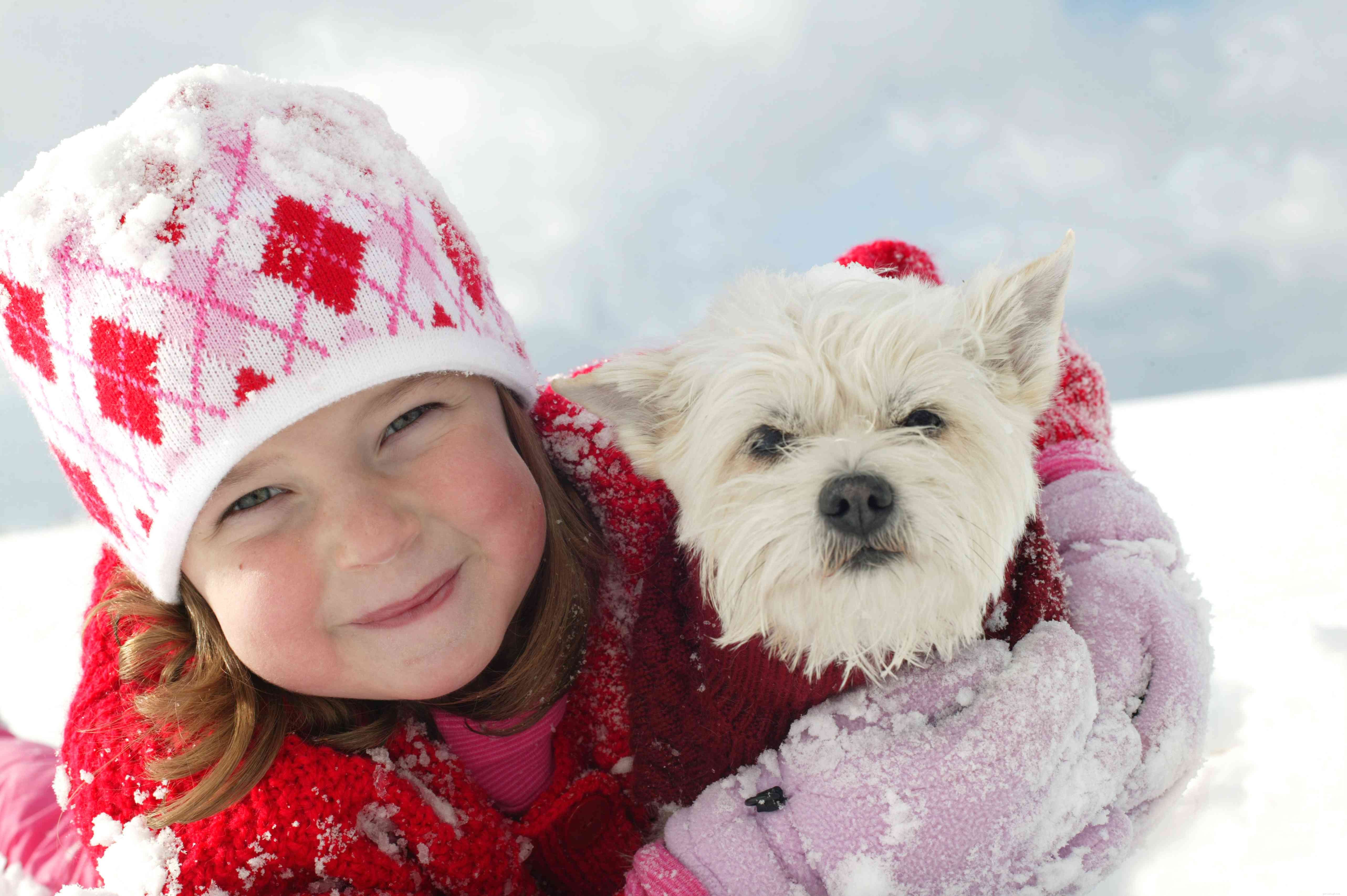 5 manieren om uw hond een chique uitstraling te geven voor de winter 