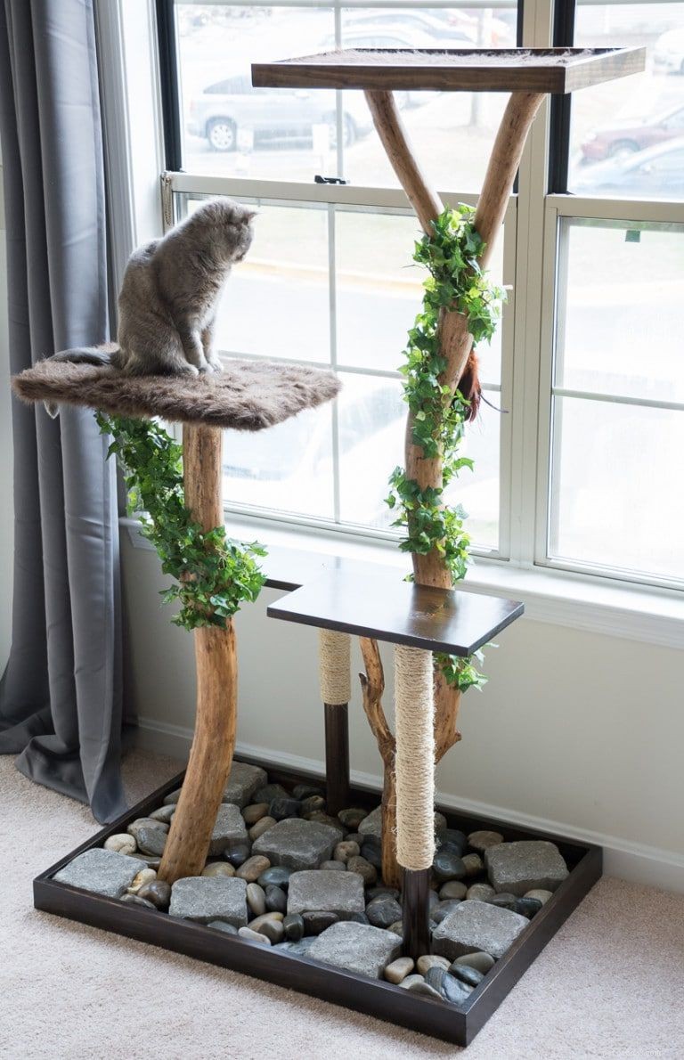 8 bezplatných DIY plánů stromů pro kočky
