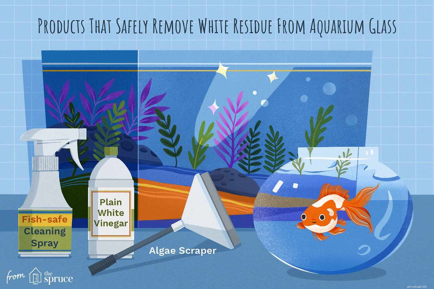 Como remover e prevenir resíduos brancos no vidro do aquário