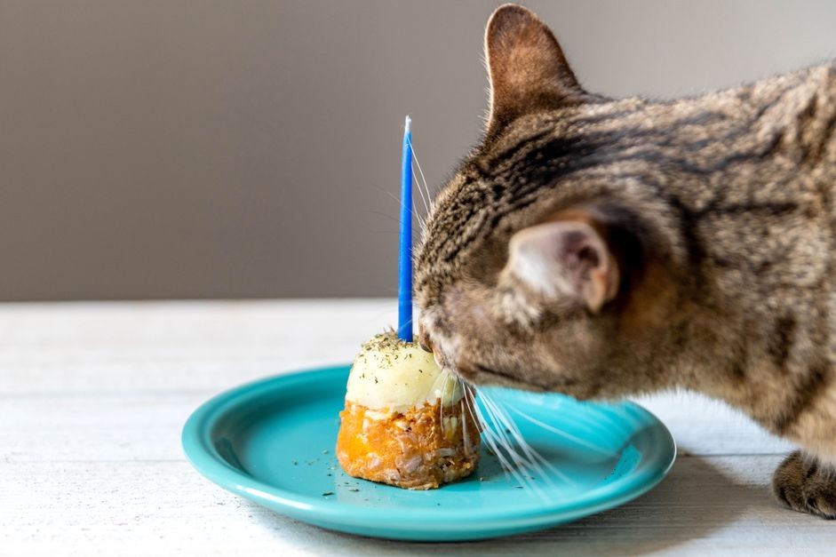 고양이 생일을 위한 특별한 케이크 만드는 방법 