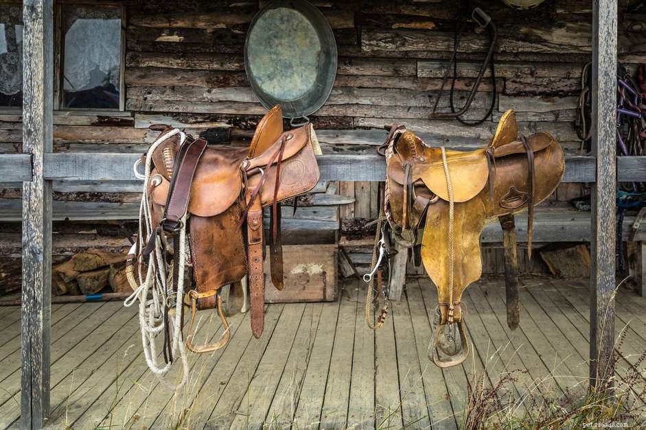 Как выбрать правильный размер седла Western Saddle