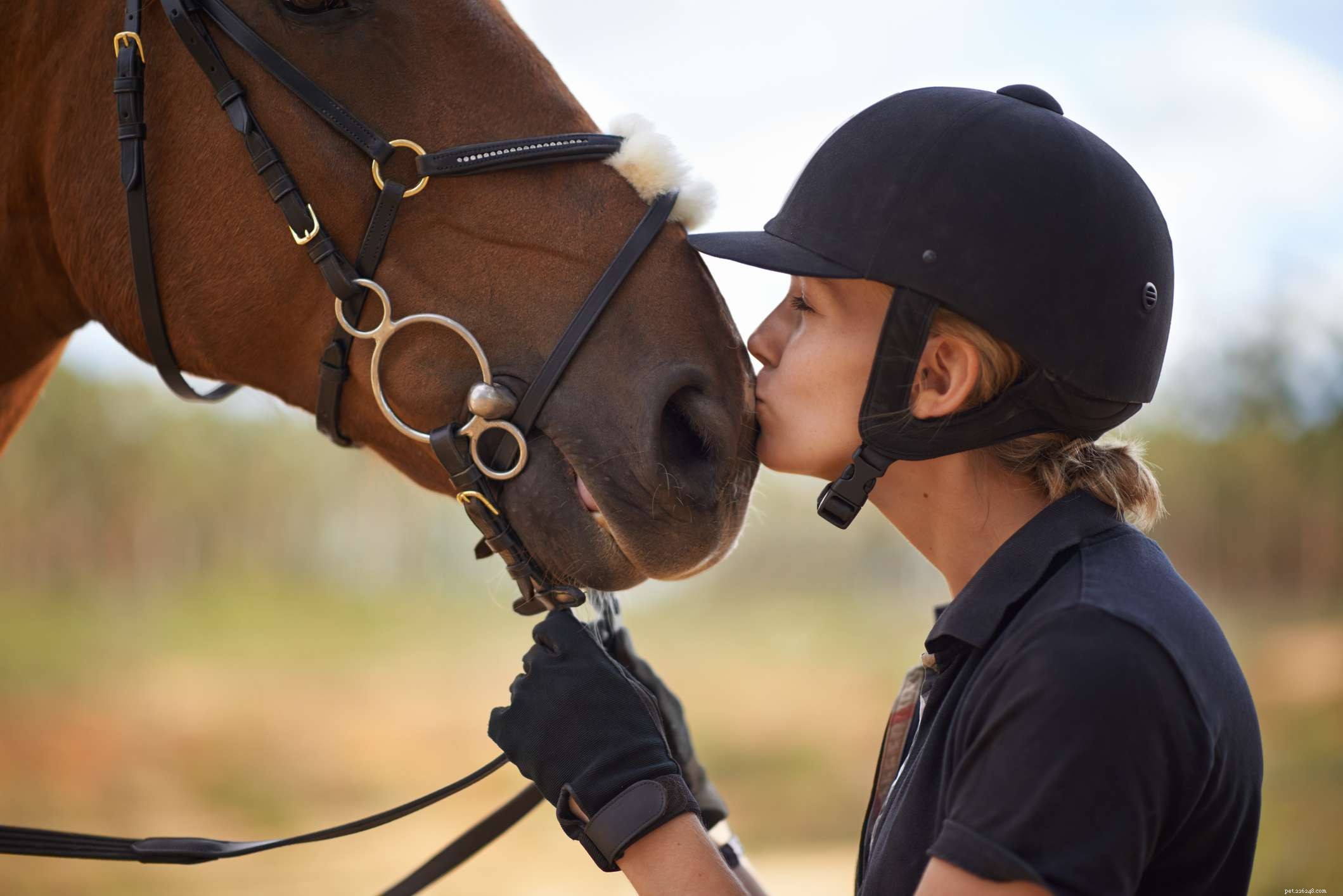 7 dingen die je een paard nooit mag aandoen