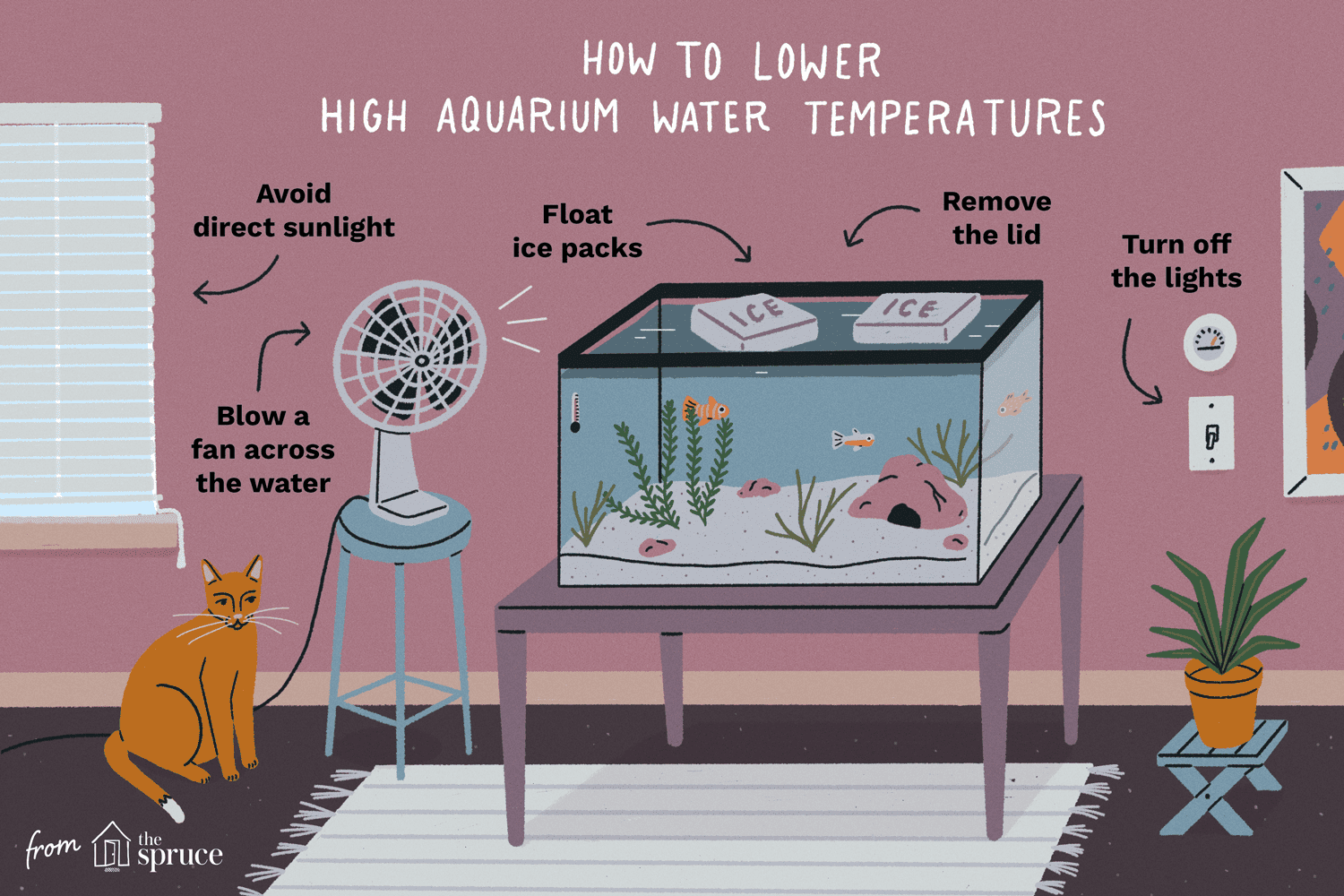 Hur man sänker hög vattentemperatur i akvarier