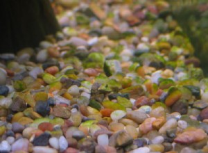 水族館の砂利の藻に対処する方法 