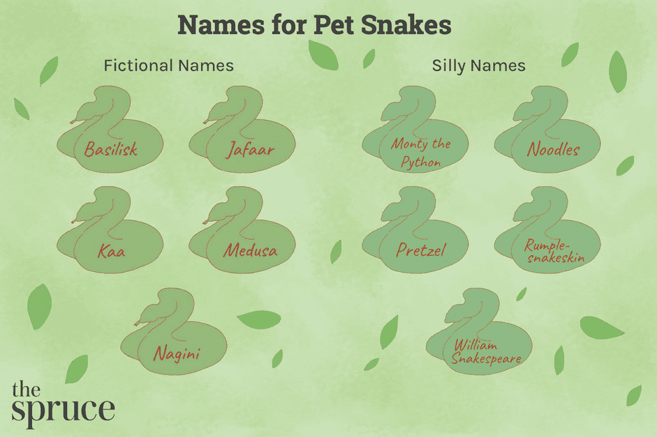 100 noms pour les serpents de compagnie
