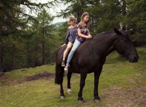 Como treinar seu cavalo para andar sem sela