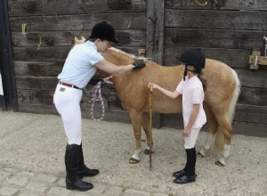 Comment mesurer la taille d un cheval