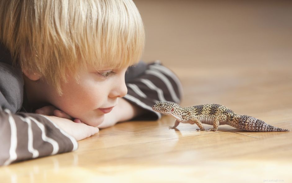 子供のためのトップ6の最も簡単なペットの爬虫類 