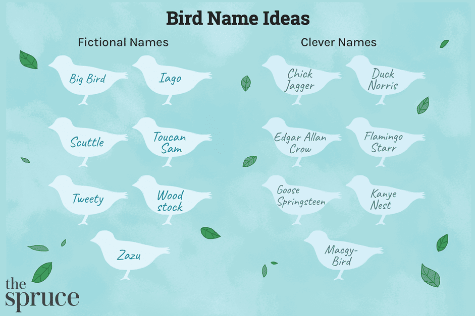 280 noms d oiseaux de compagnie