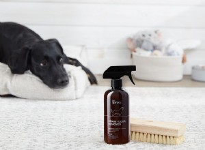 애완동물 얼룩 및 냄새 제거제 사용 방법