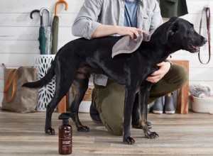 Comment utiliser un nettoyant pour animaux sans eau