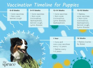 Očkování štěňat a očkovací kalendář