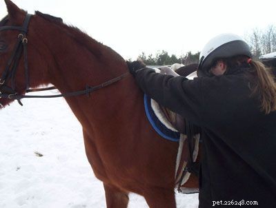 Jak nasednout na koně k jízdě