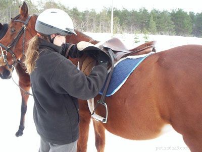 Como montar um cavalo para montar