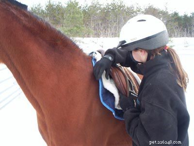 Jak osedlat koně