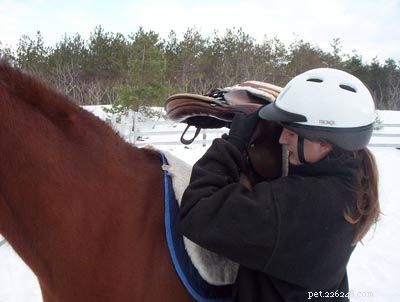 馬を鞍にする方法 