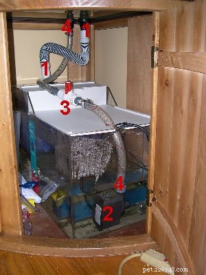 Istruzioni per la configurazione di un acquario di acqua salata