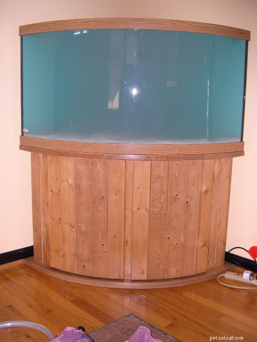 Instruções para montar um aquário de água salgada