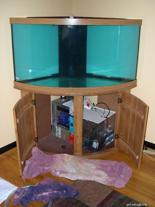 Instruktioner för att installera ett saltvattensakvarium