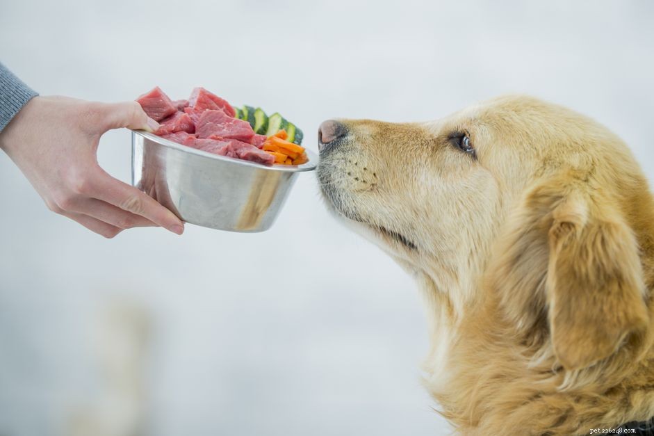 8 van de beste groenten om uw hond te voeren