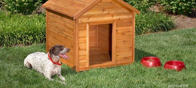 14 plans de niche pour chien gratuits que tout le monde peut construire