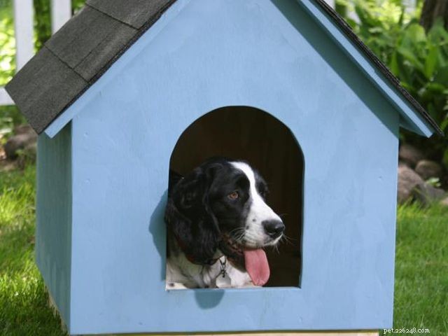 14 plans de niche pour chien gratuits que tout le monde peut construire